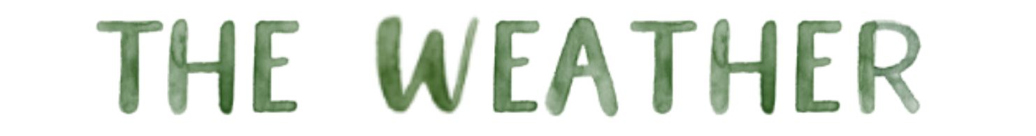Weather